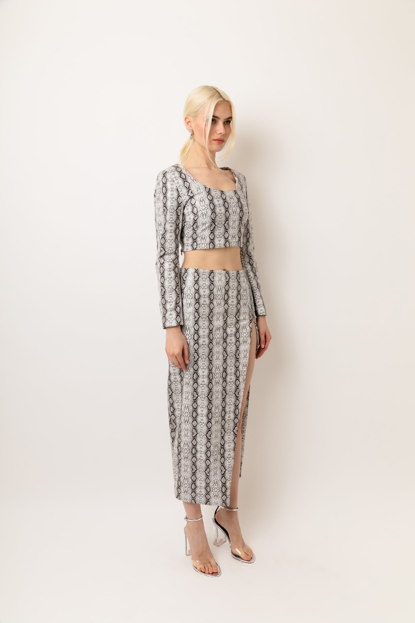 Cici Snake Faux Leather Top & Skirt Set-ALJH0201&ALJH0201-1