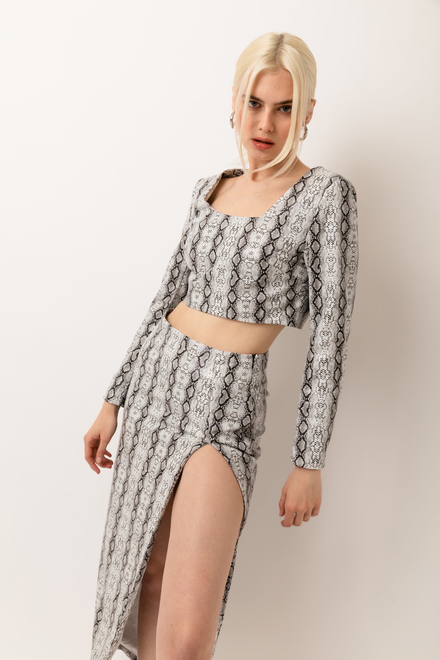 Cici Snake Faux Leather Top & Skirt Set-ALJH0201&ALJH0201-1